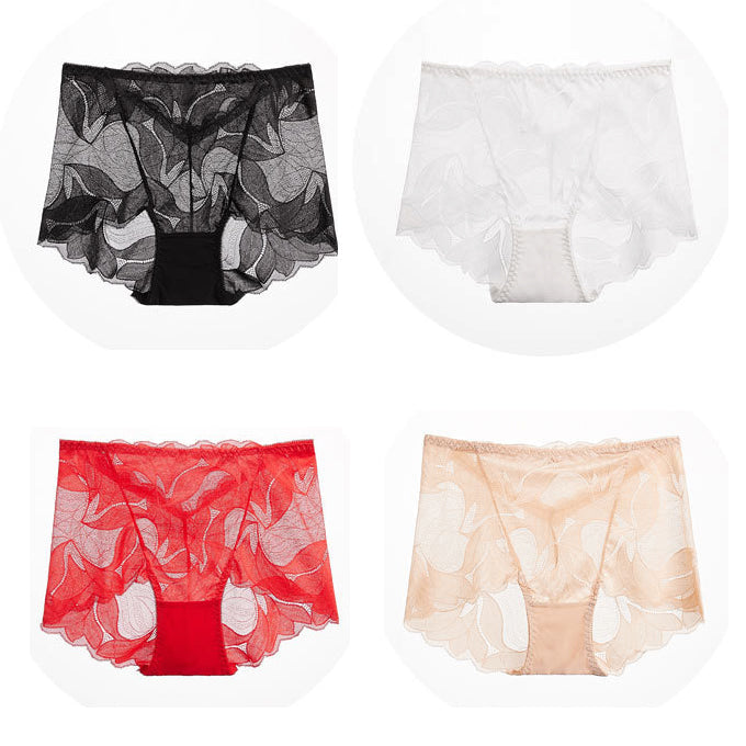 Culotte en dentelle douce – Confort léger et élégance raffinée