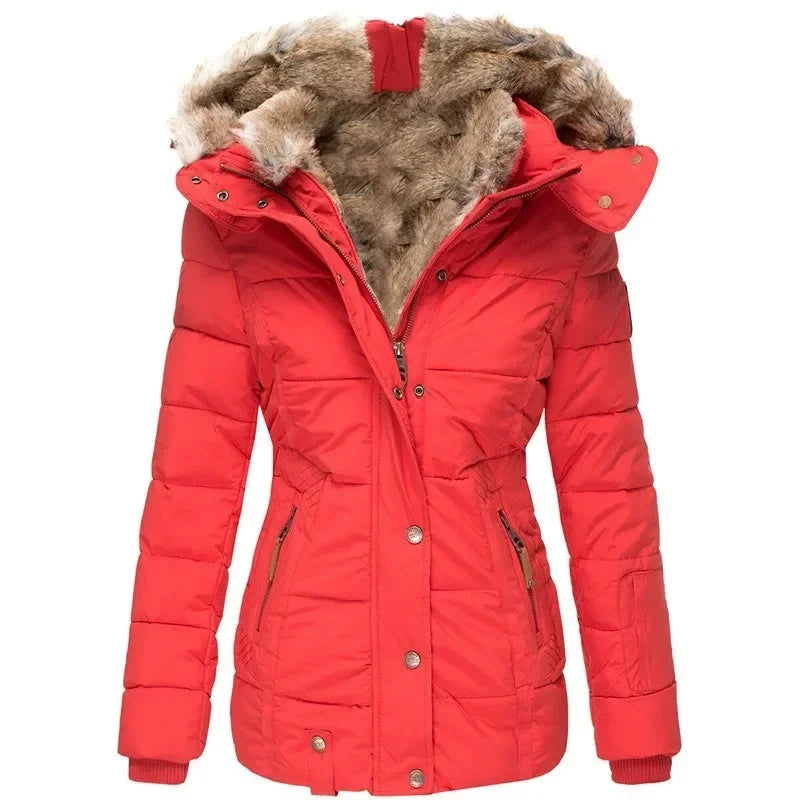 La veste la plus chaude pour l'hiver